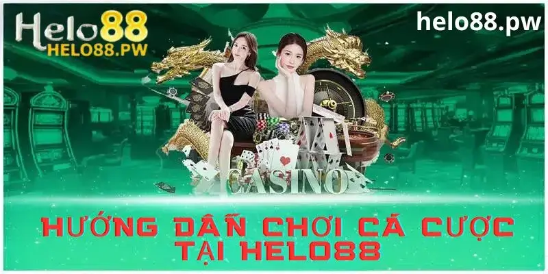 Hướng dẫn tham gia cá cược tại Helo88